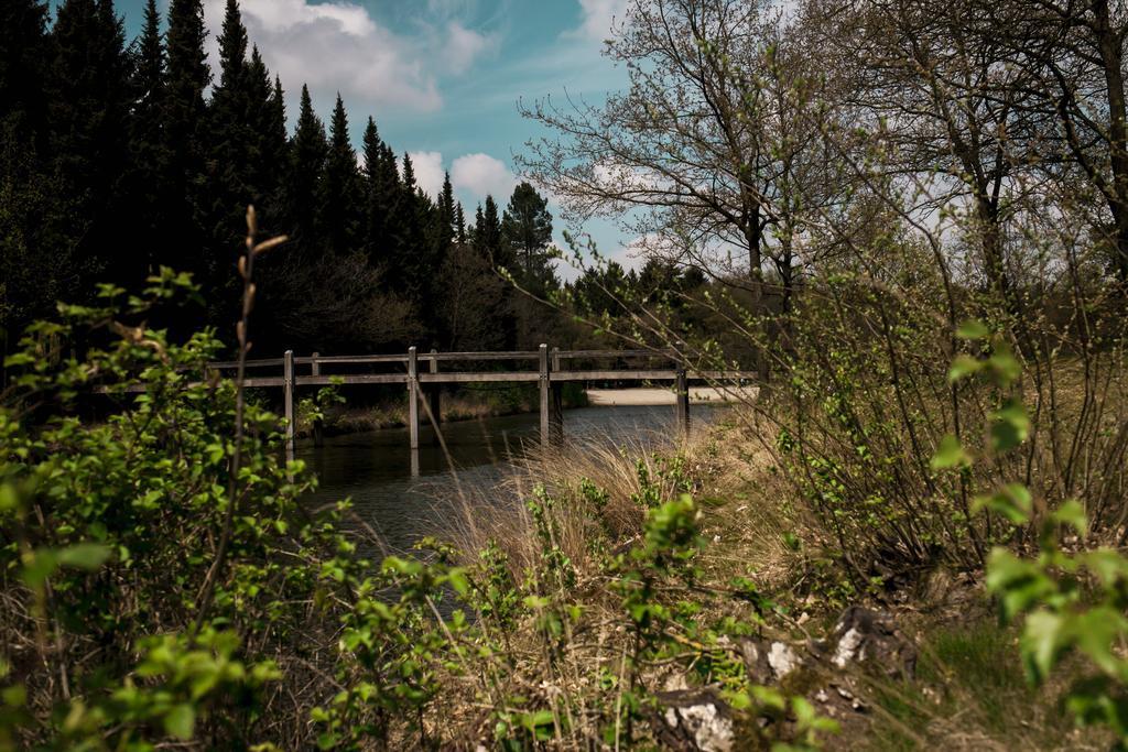 Rheezerstee Bed & Breakfast Dış mekan fotoğraf